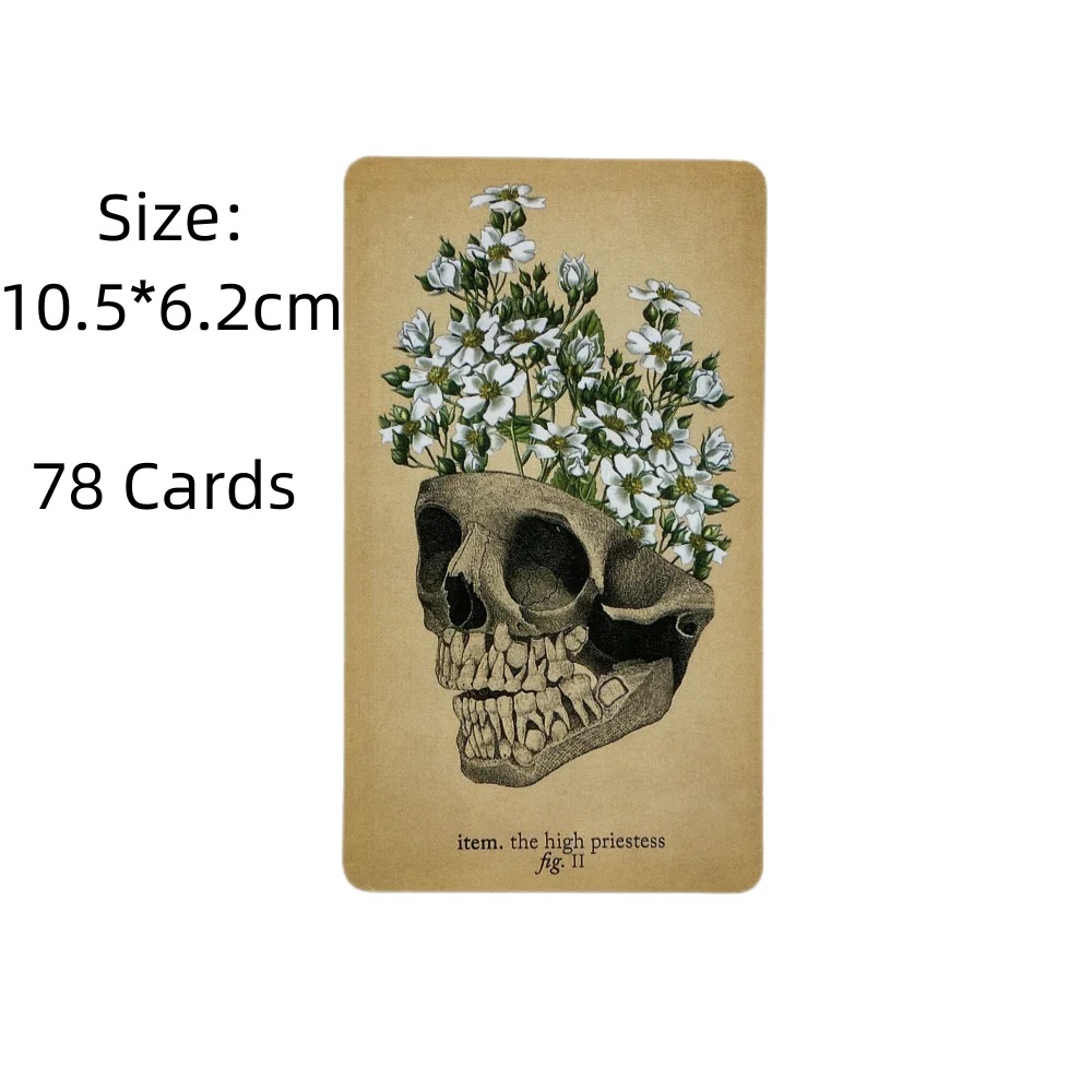 Kartu Tarot Anatomi Antik A 78 - Card Game Deck ulasan dan harga